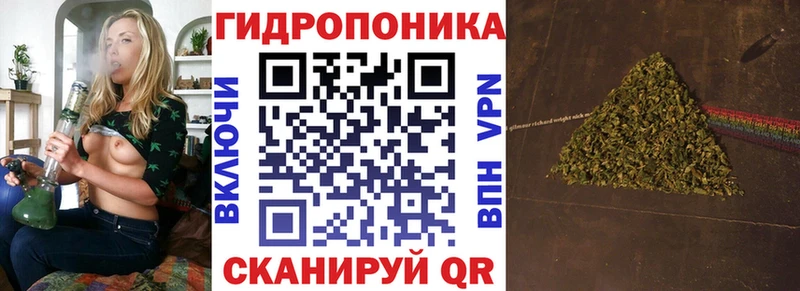 Канабис ГИДРОПОН  где продают   Пучеж 
